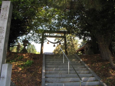 画像24